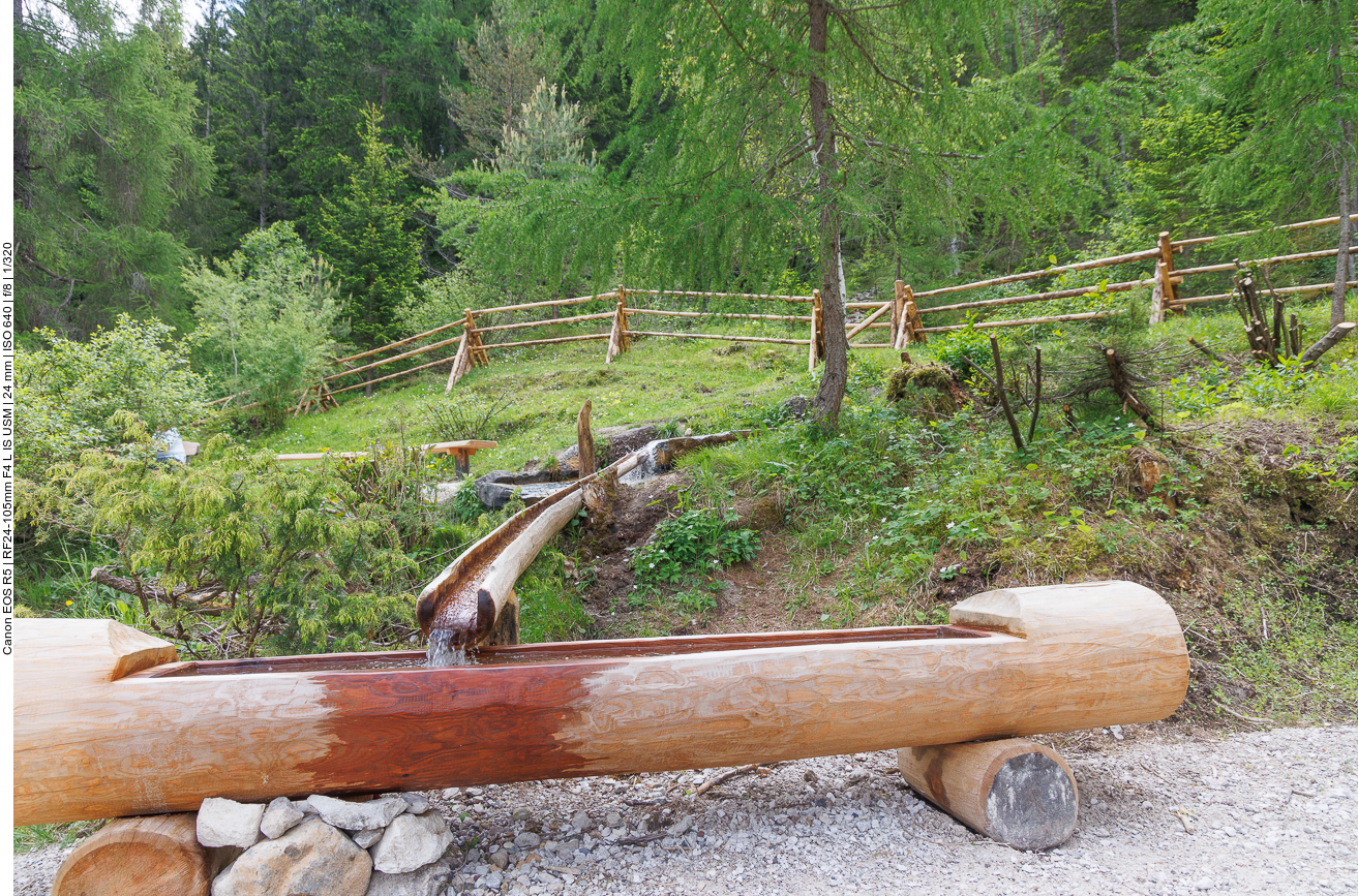 Ein kleiner Teil des Drauwassers wird in einen Trog umgeleitet, schön kühl 