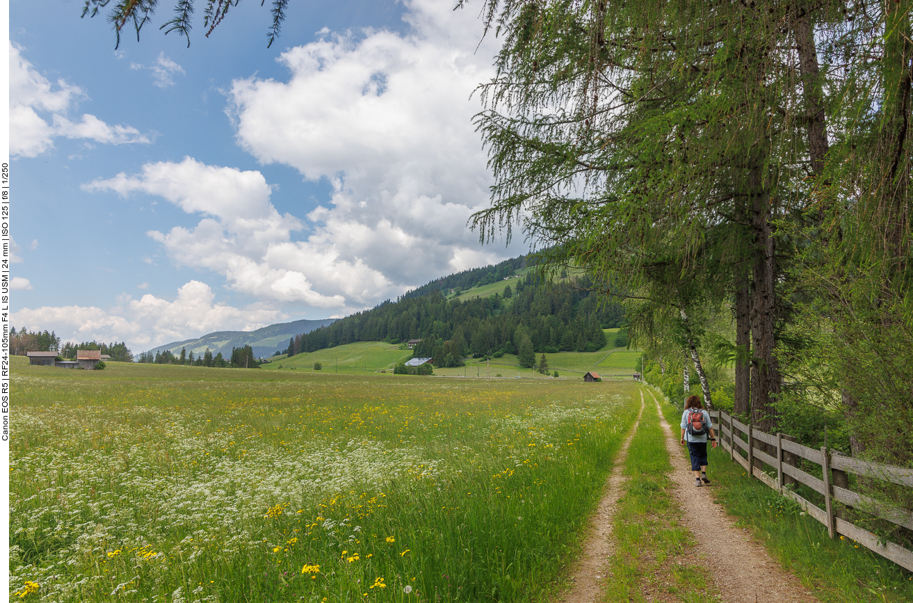 Auf dem Rückweg fängt es an zu tröpfeln ... 