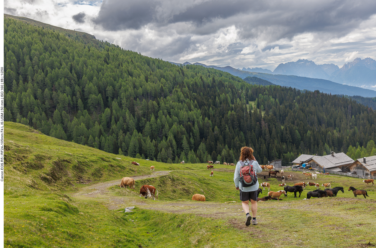 Jetzt wird es eng ... 