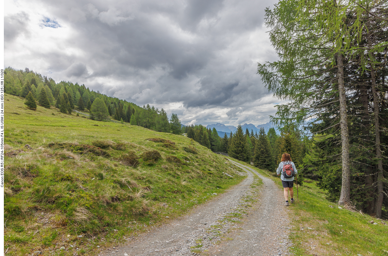 Eine der Kühe war sehr aufdringlich, jetzt haben wir einen Abwehrstock dabei ;-) 