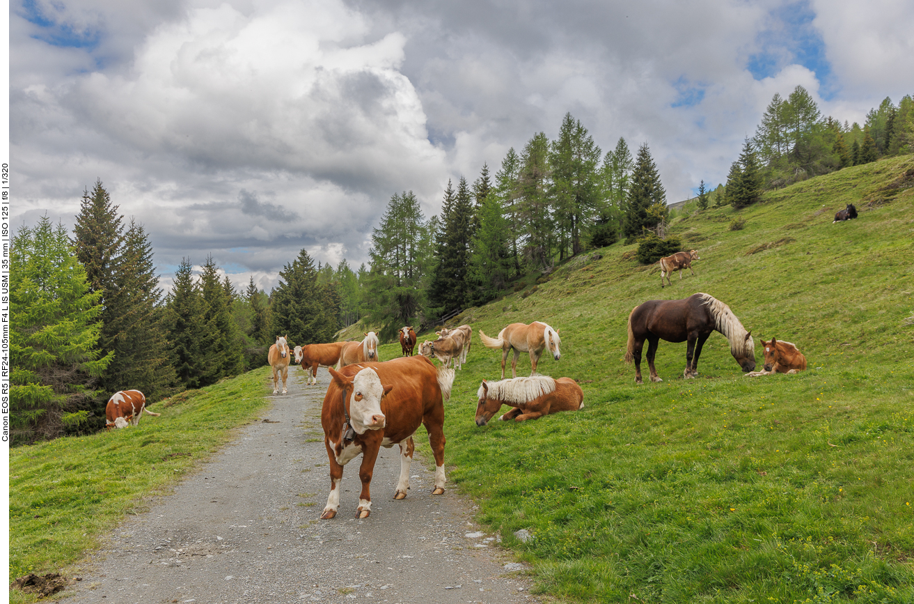 Schon wieder eine Straßensperre ;-)