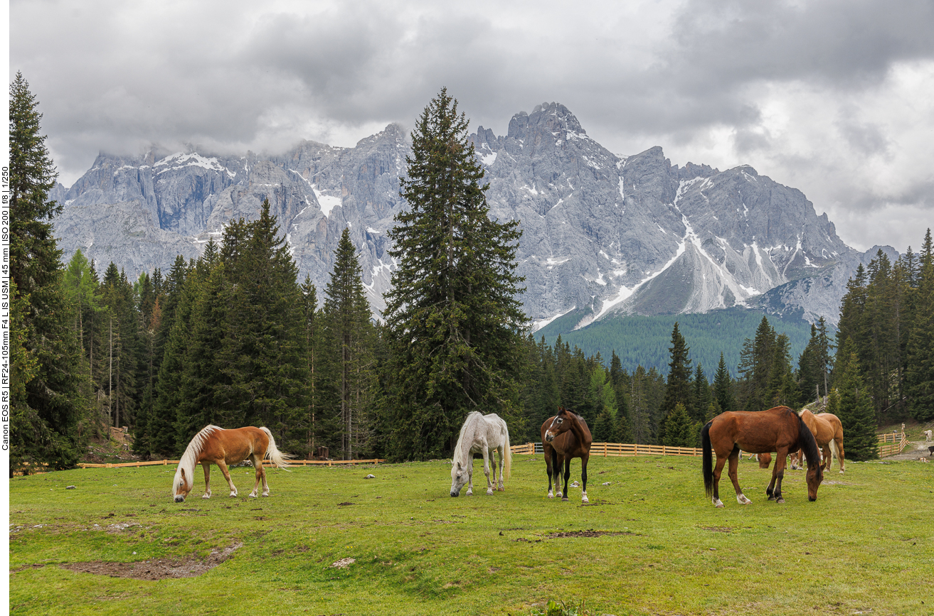 Pferdeweide vor schöner Kulisse
