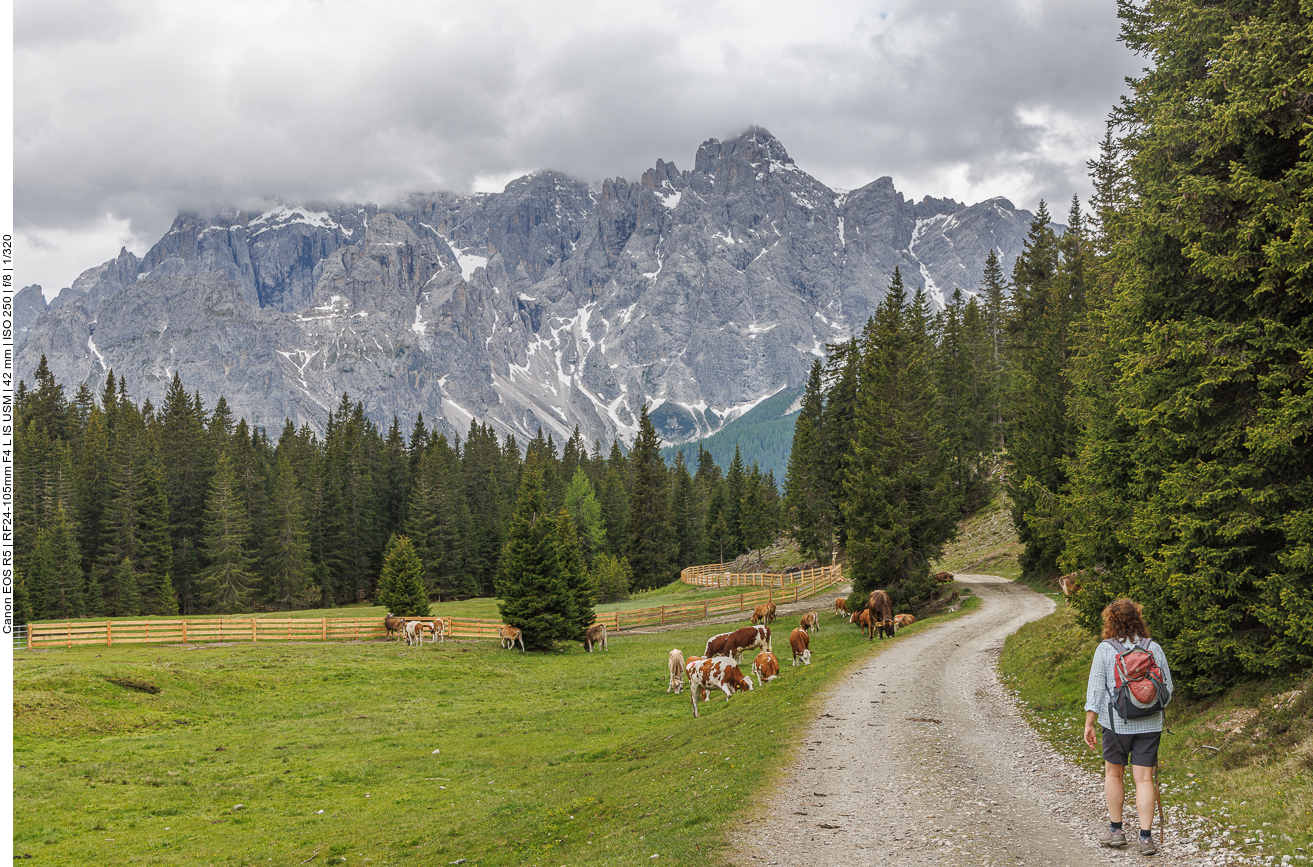 Zum Glück haben wir einen Stock dabei ...