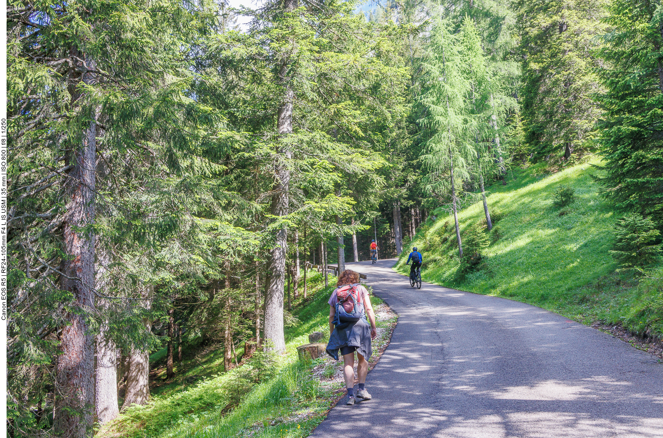 Steiler Weg nach oben, mit dem E-Bike geht das leichter ;-) 