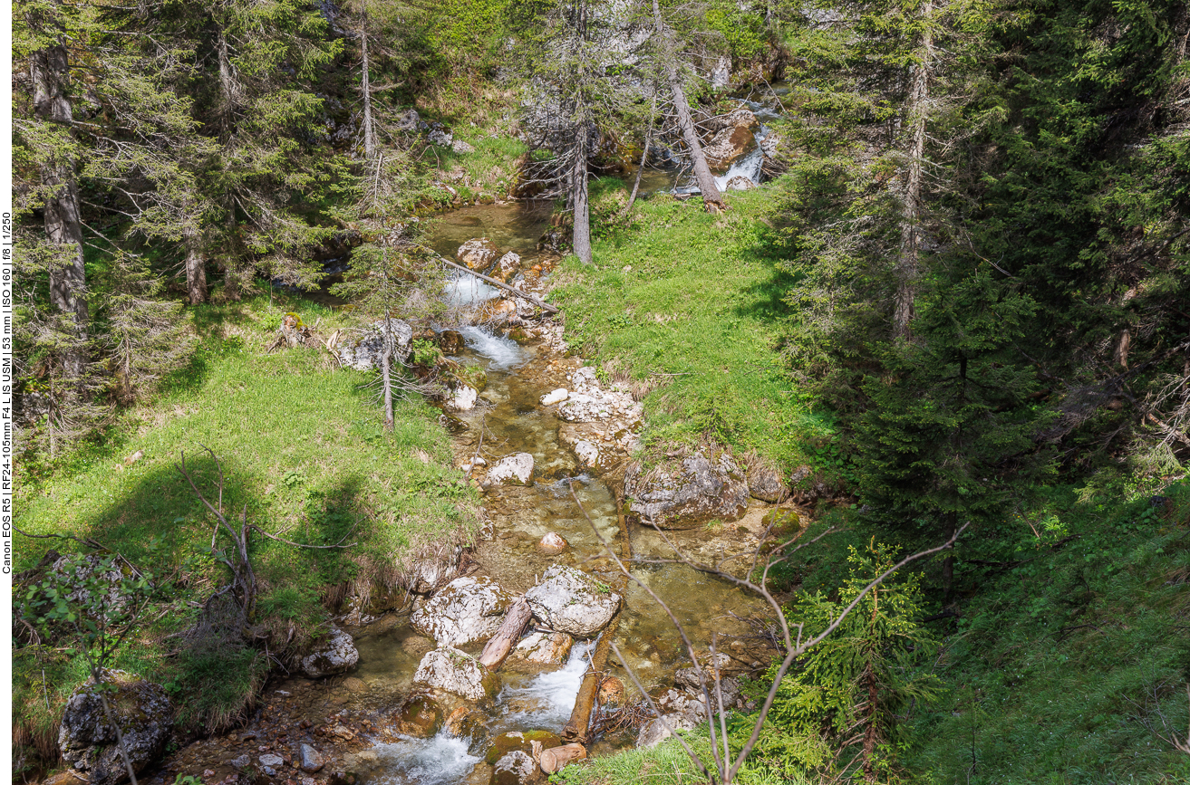 Der Torrente Boite begleitet unseren Weg