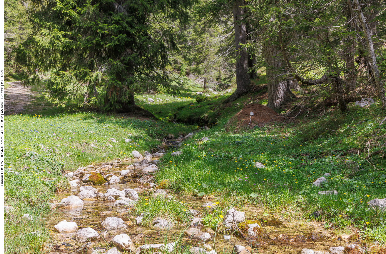 Leise gurgelnder Bach 