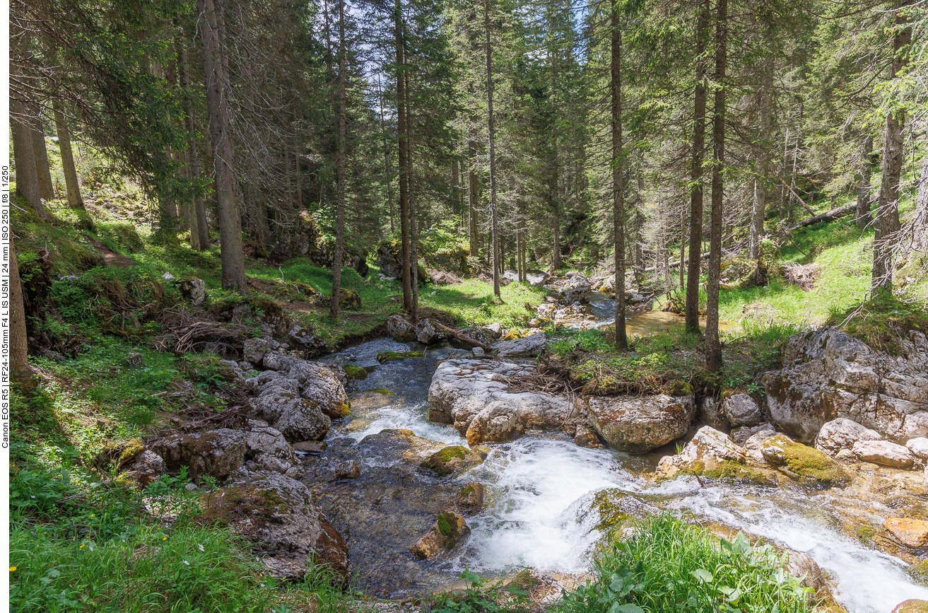 Wieder in der Idylle