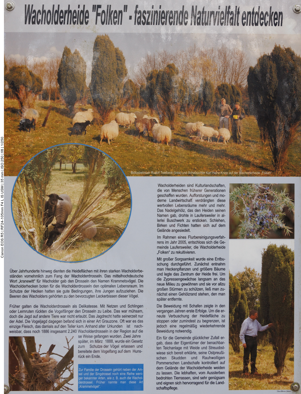 Infos zur Wacholderheide 