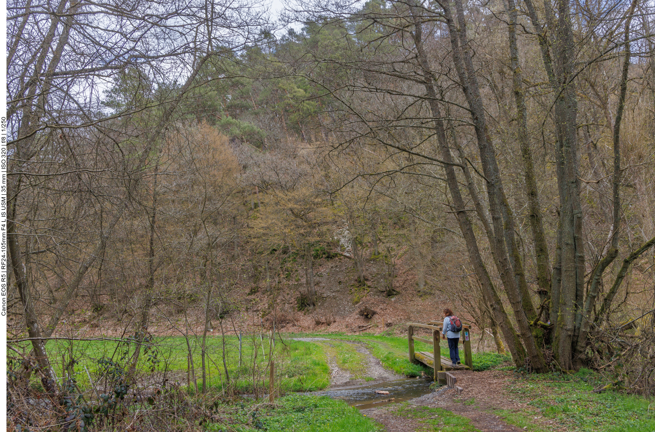 Brücke statt nasse Füße ;-) 