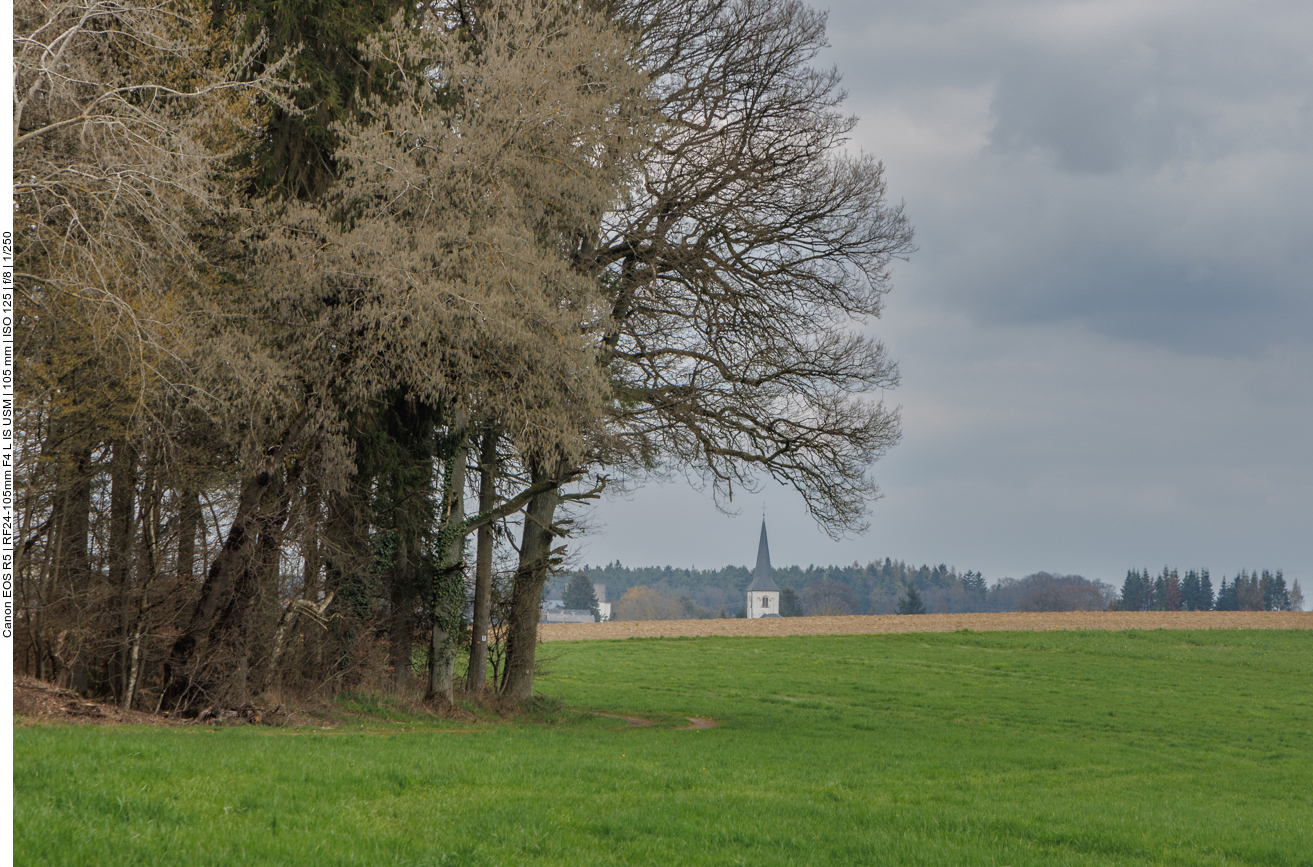 Der Kirchturm von Laufersweiler ist in Sicht und damit das Ende der Wanderung 