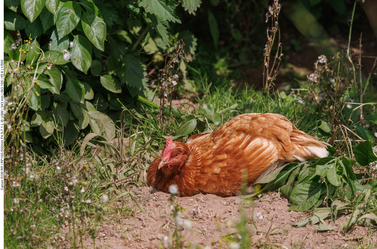 ... und dann etwas in der Sonne dösen ;-) 