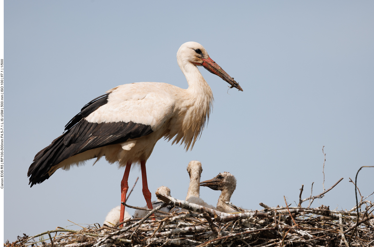 Nach der Fütterung ...
