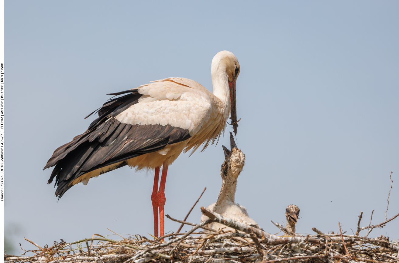 ... oh, doch noch was da? 