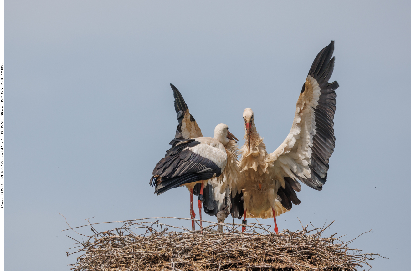 ... wenn man auf die Kleinen aufpassen muss ... 