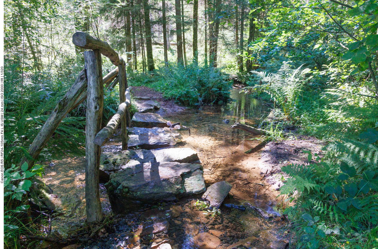 Über große Steine wird ein Bach überquert