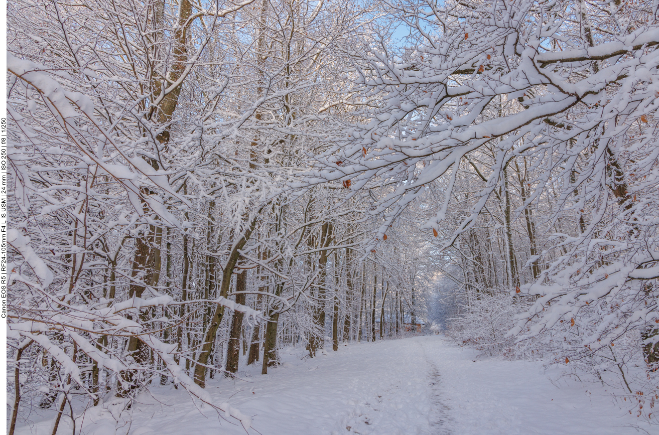 Manchmal blitzt etwas Sonne hindurch