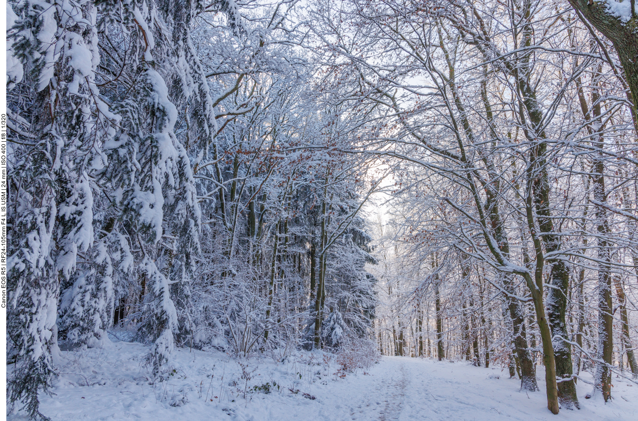 Noch kommt die Sonne nicht ganz durch