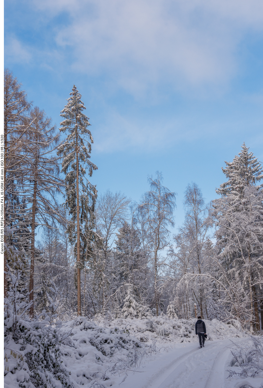 In den Autospuren läuft es sich einfacher