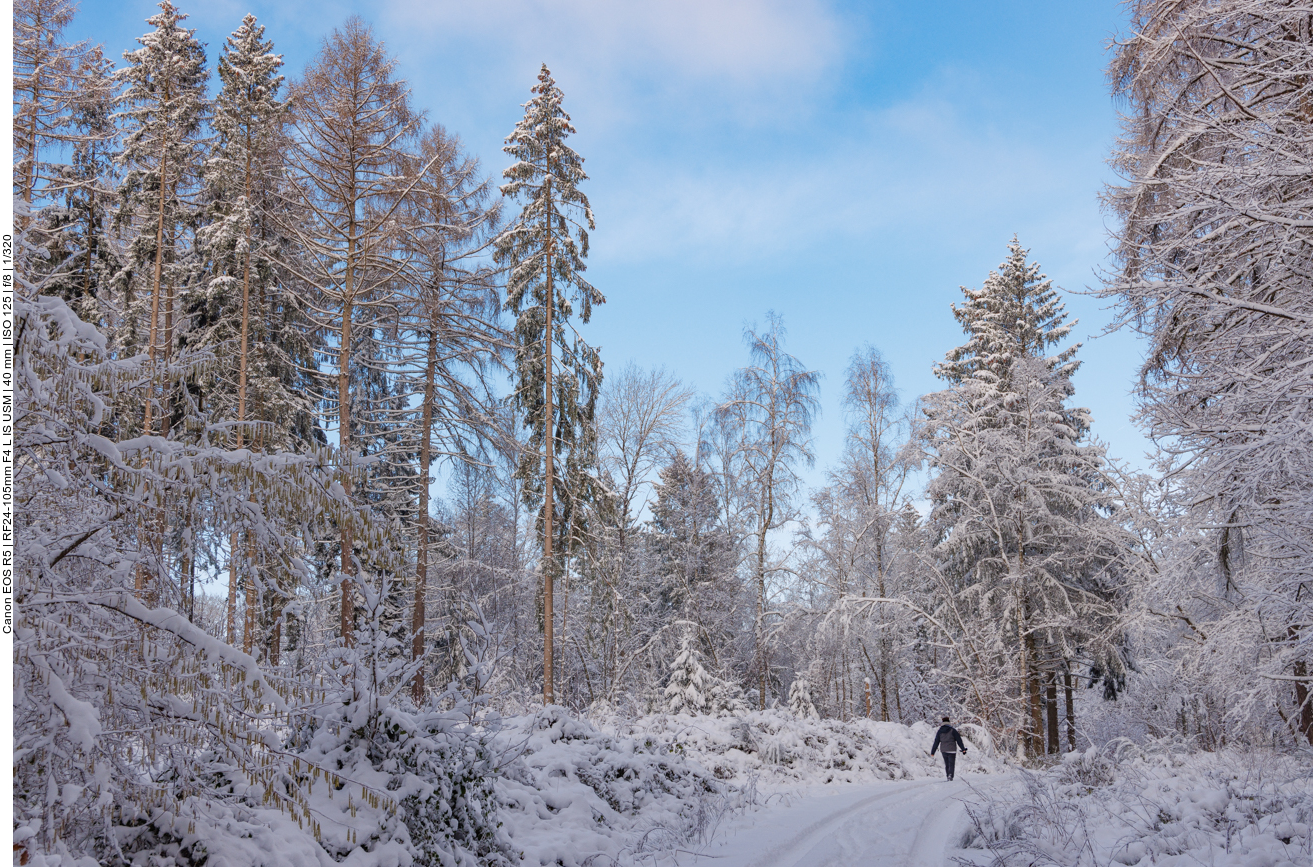 Endlich mal etwas Winter