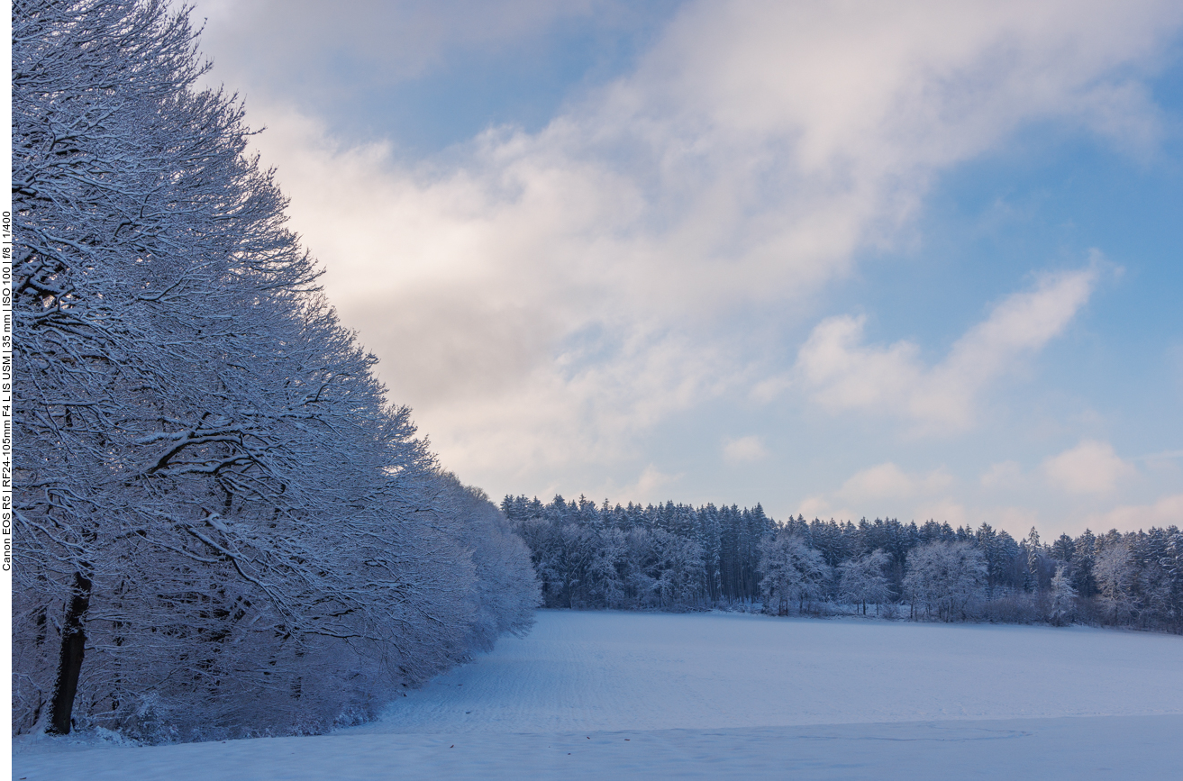 Freies Feld an der Schäferei