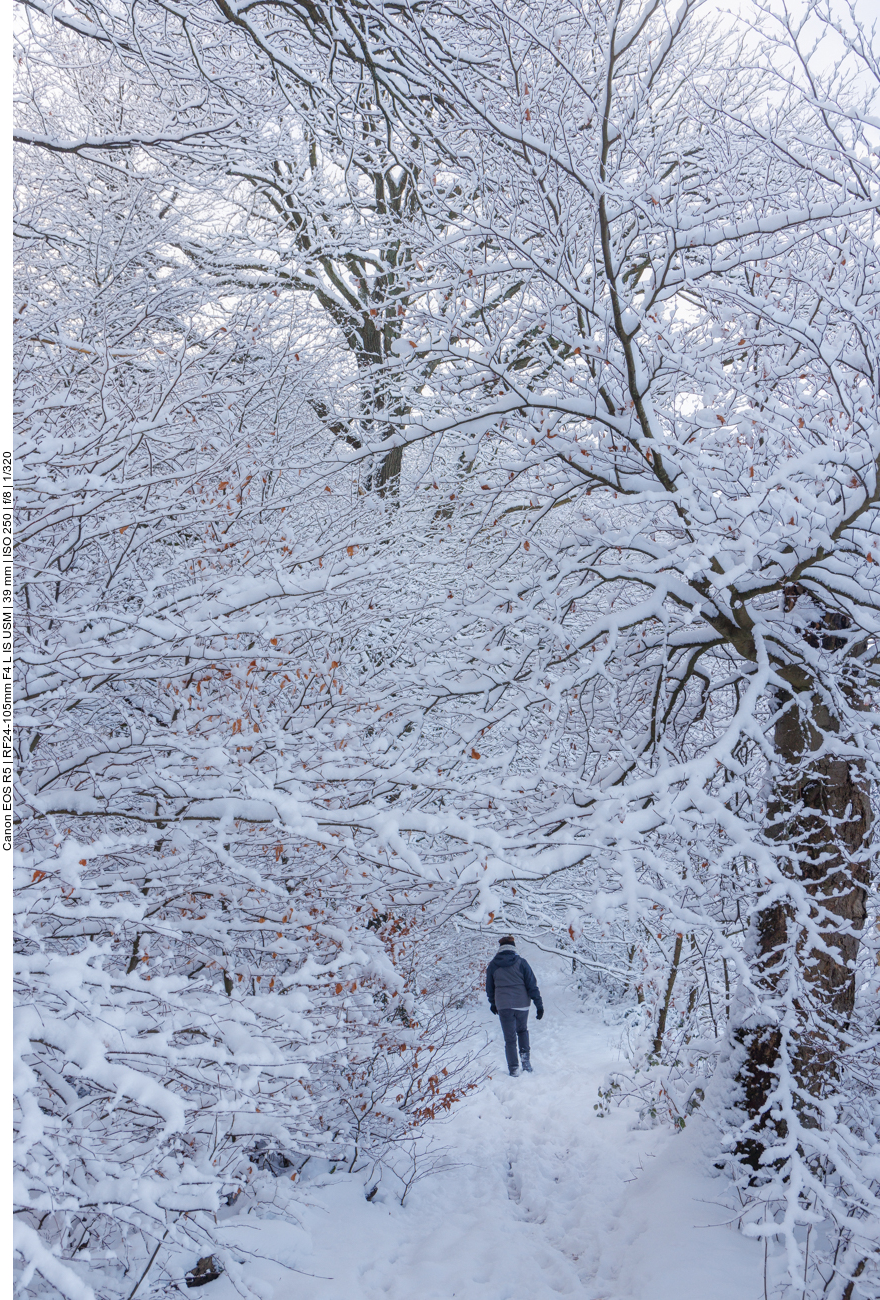 Verschneiter Waldpfad