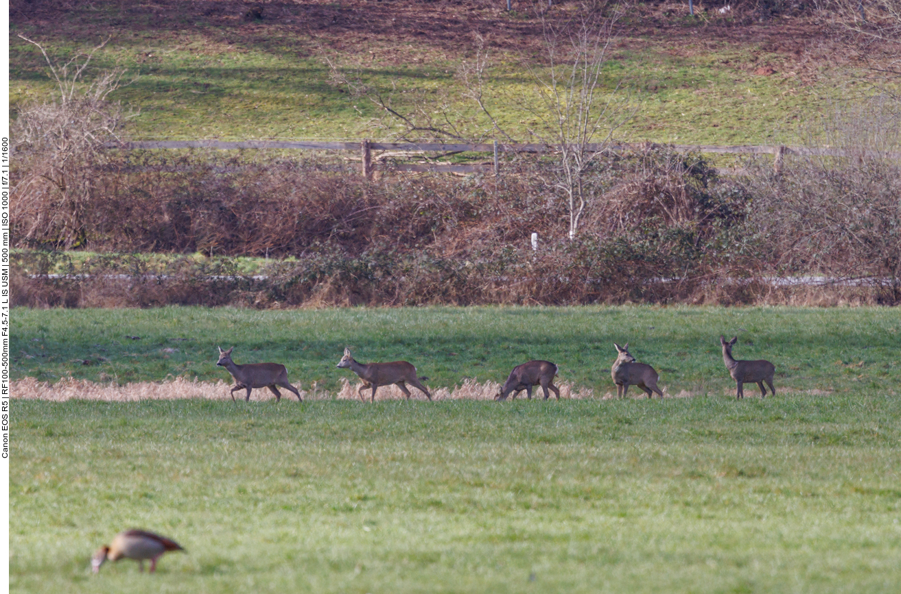 ... und ziehen in der Ferne vorbei 