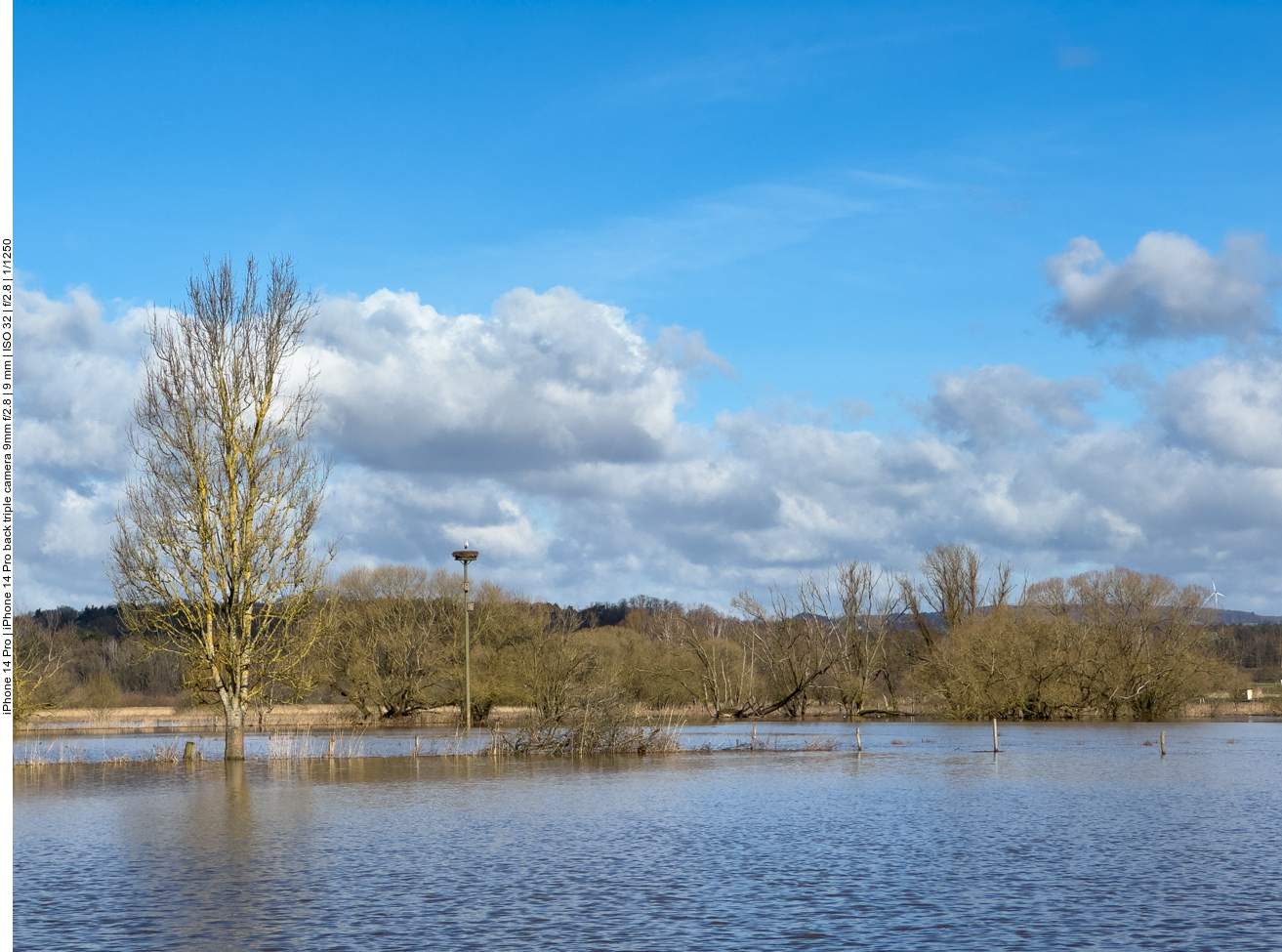 Die Weide der Wasserbüffel ist überschwemmt ...