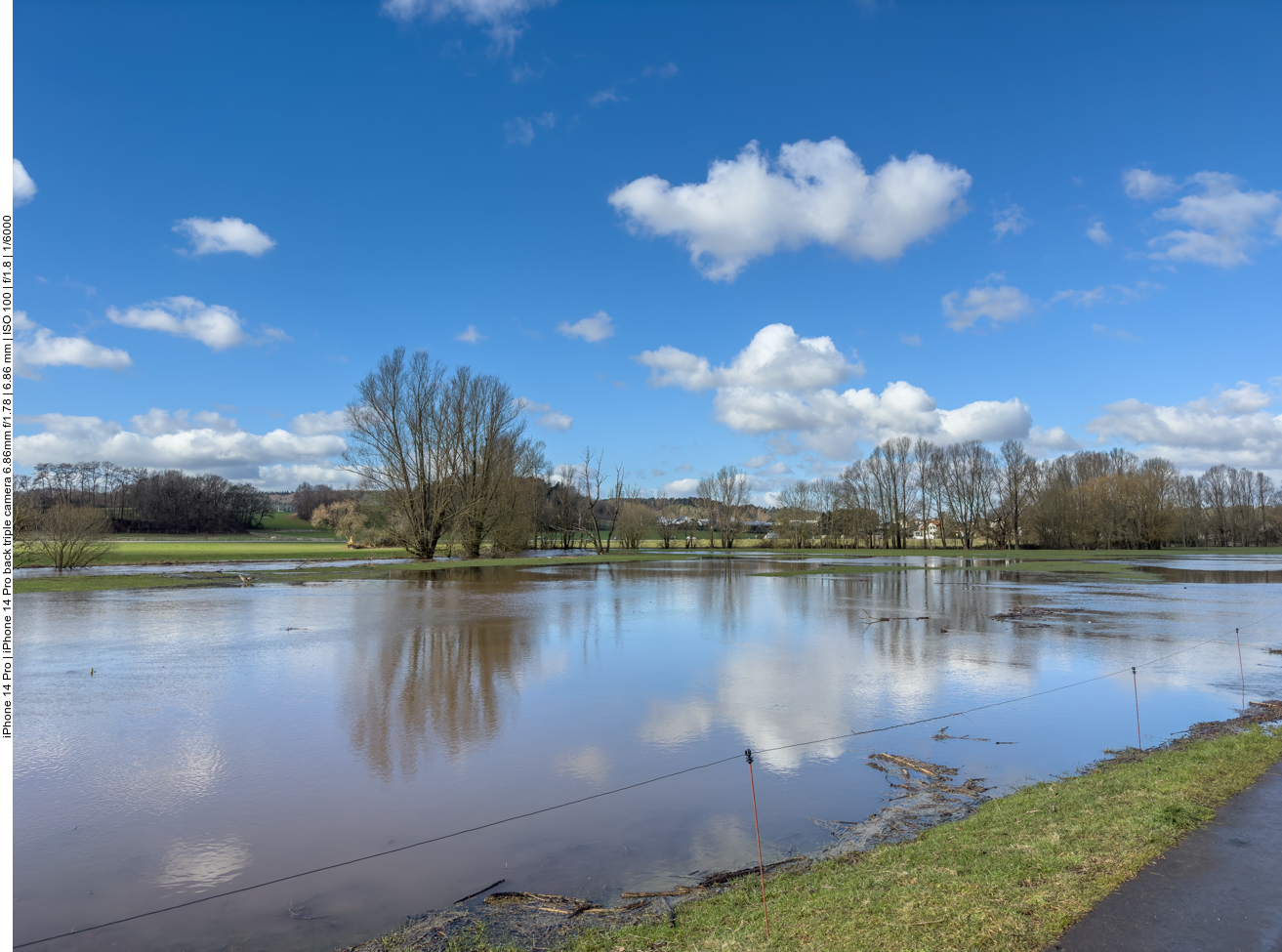 ... die der anderen Rinder auch 