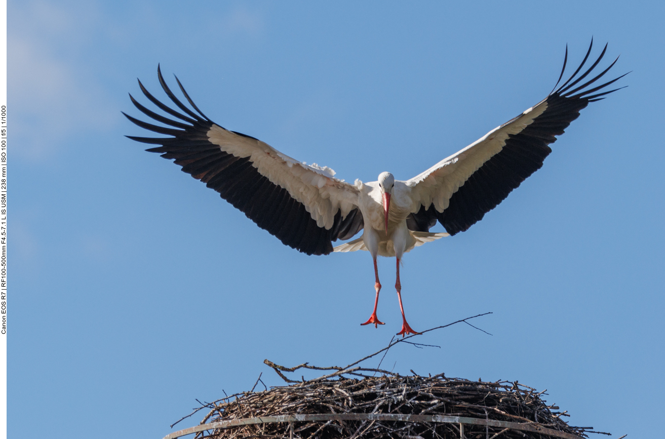 Fahrwerk ausgefahren und bereit zur Landung ;-) 