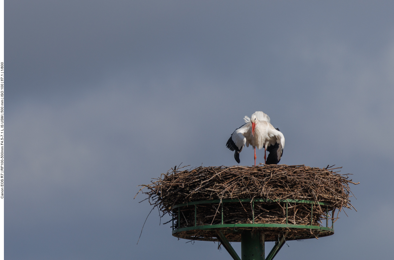Erstmal schütteln und rütteln ... 