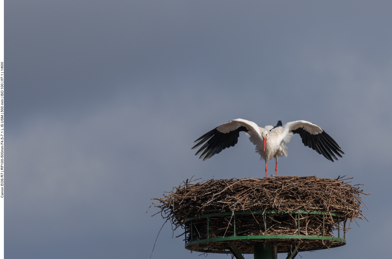 ... nach der ganzen Aufregung 