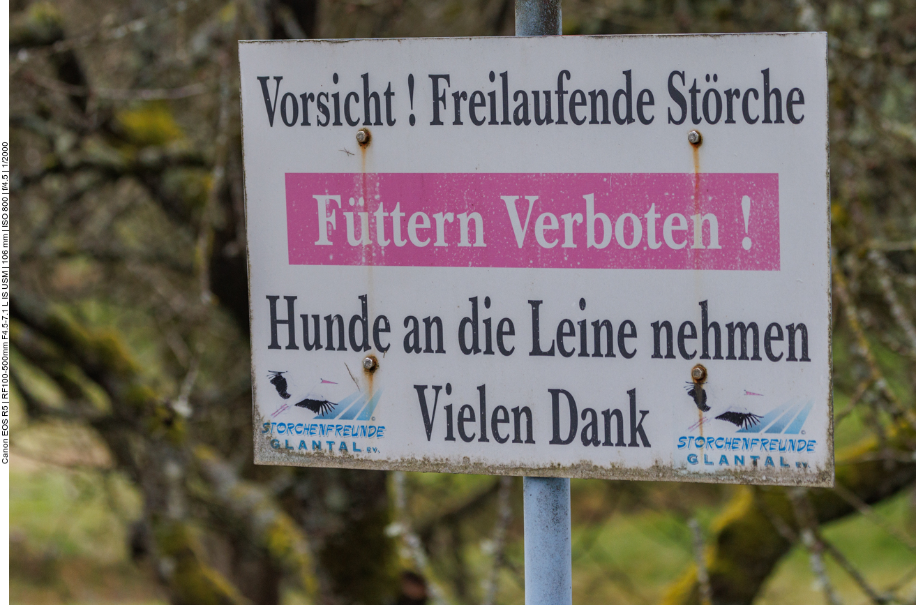 Nach der Wanderung fahren wir zur Aufzuchtstation nach Theisbergstegen ... 