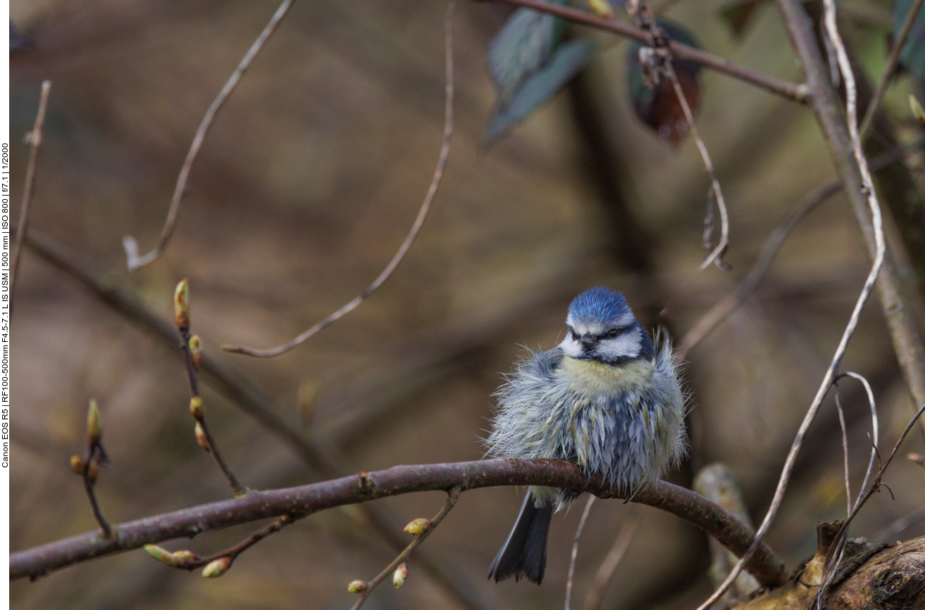 ... ist garnicht mal scheu 