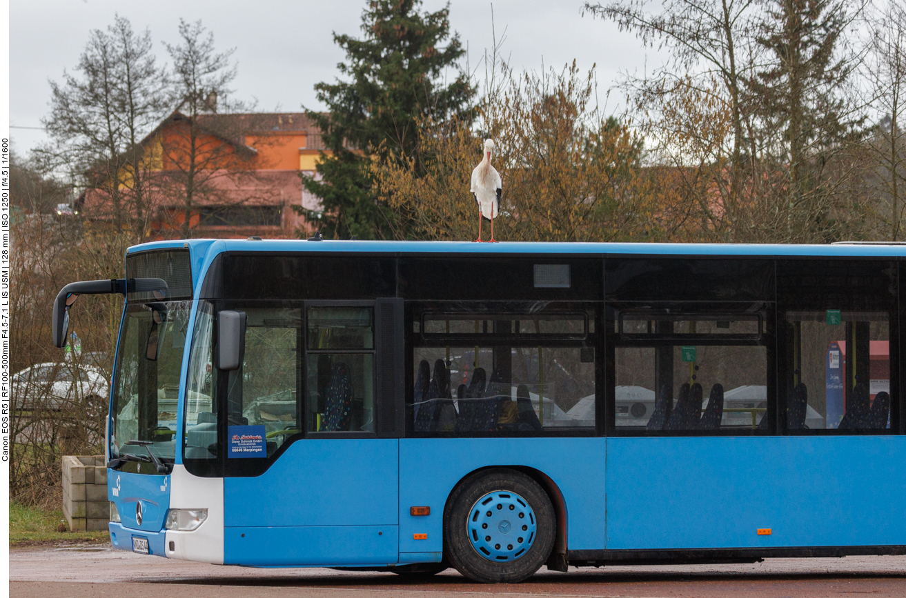 Wir starten die kleine Wanderung am Storchenplatz in Werschweiler