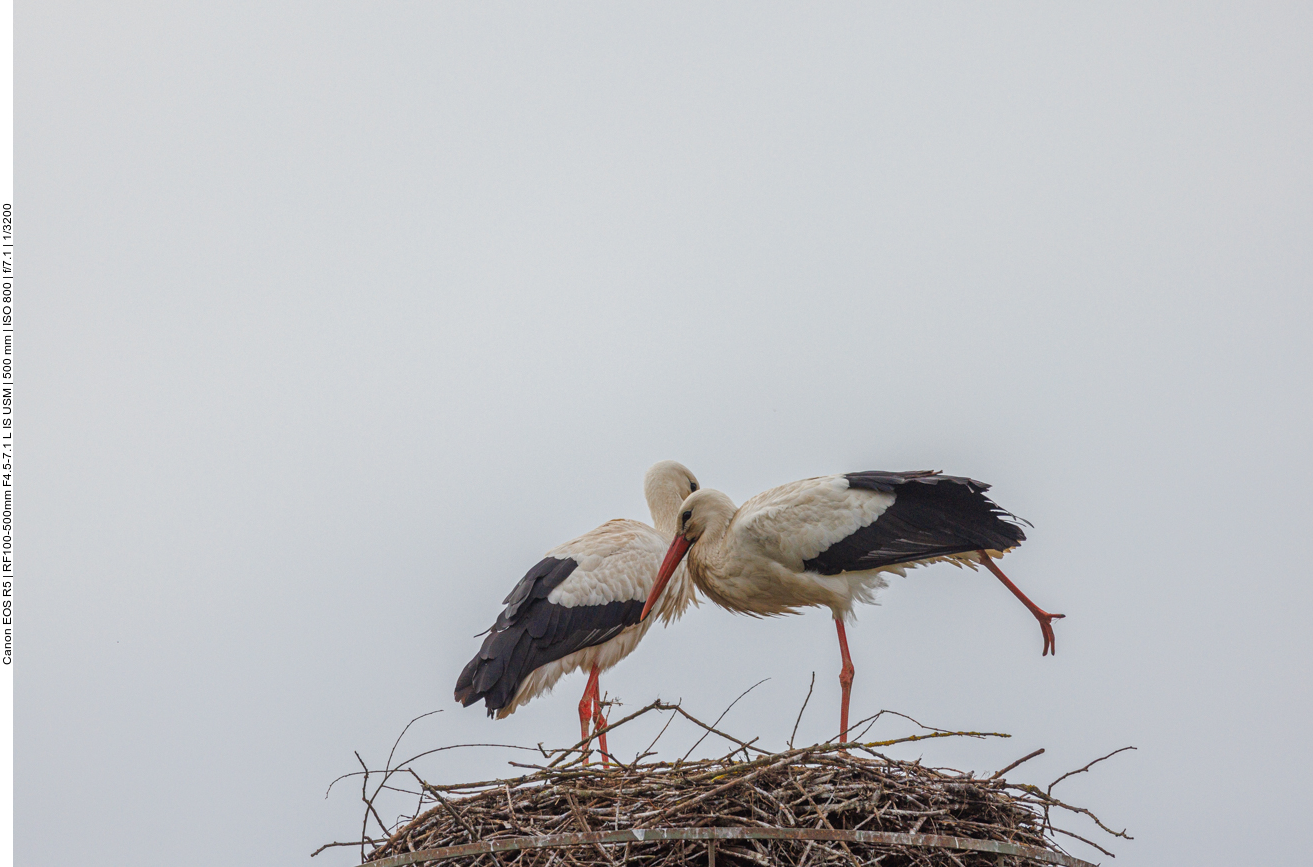 Strecken und Recken ;-) 