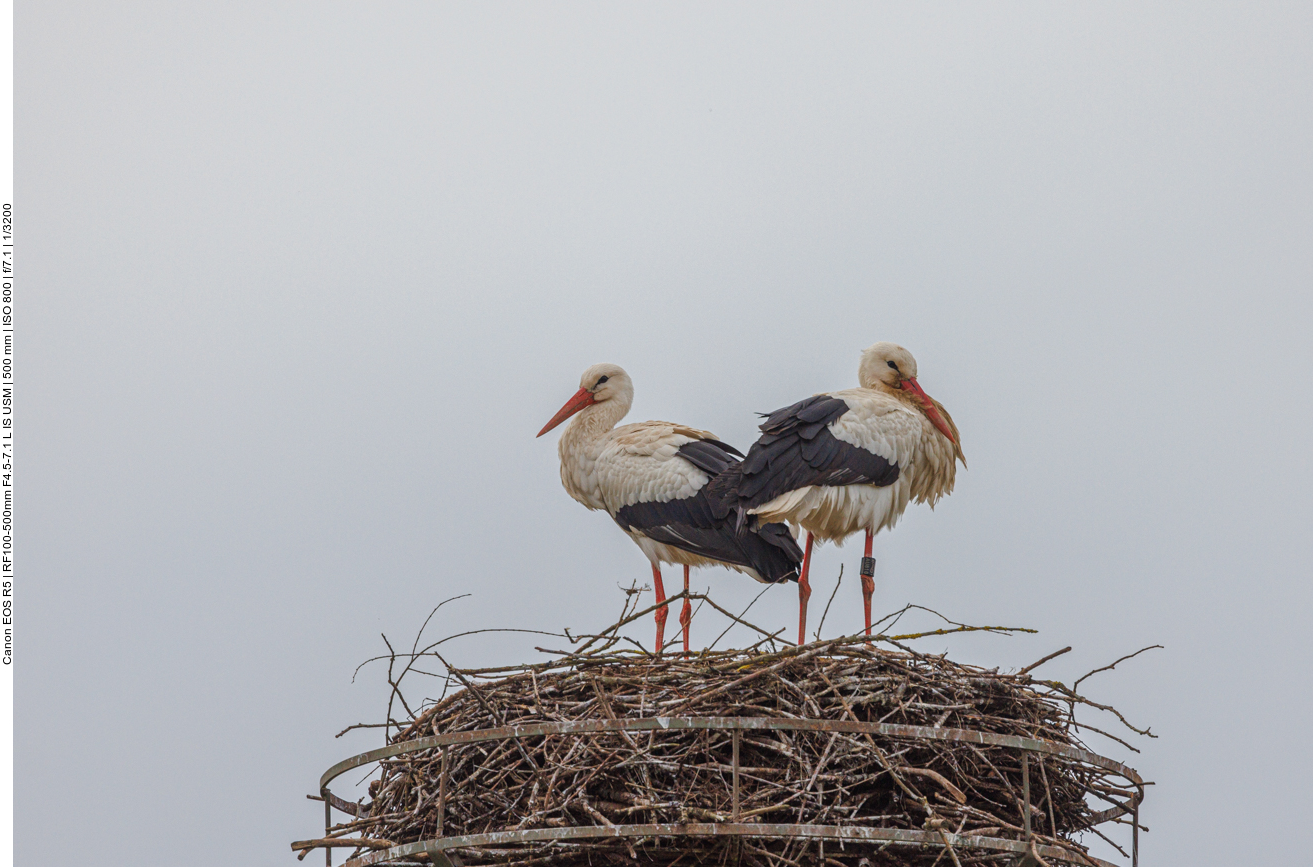 ... und dann wieder geruht 