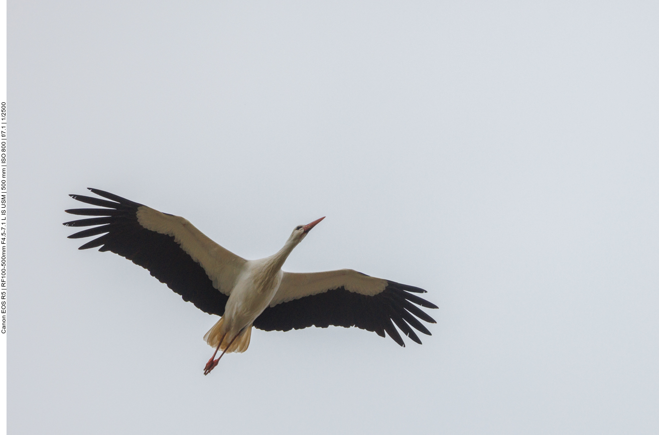 ... und zieht dann ab 