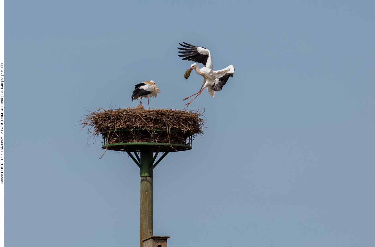 Fahrwerk ist ausgefahren ... 