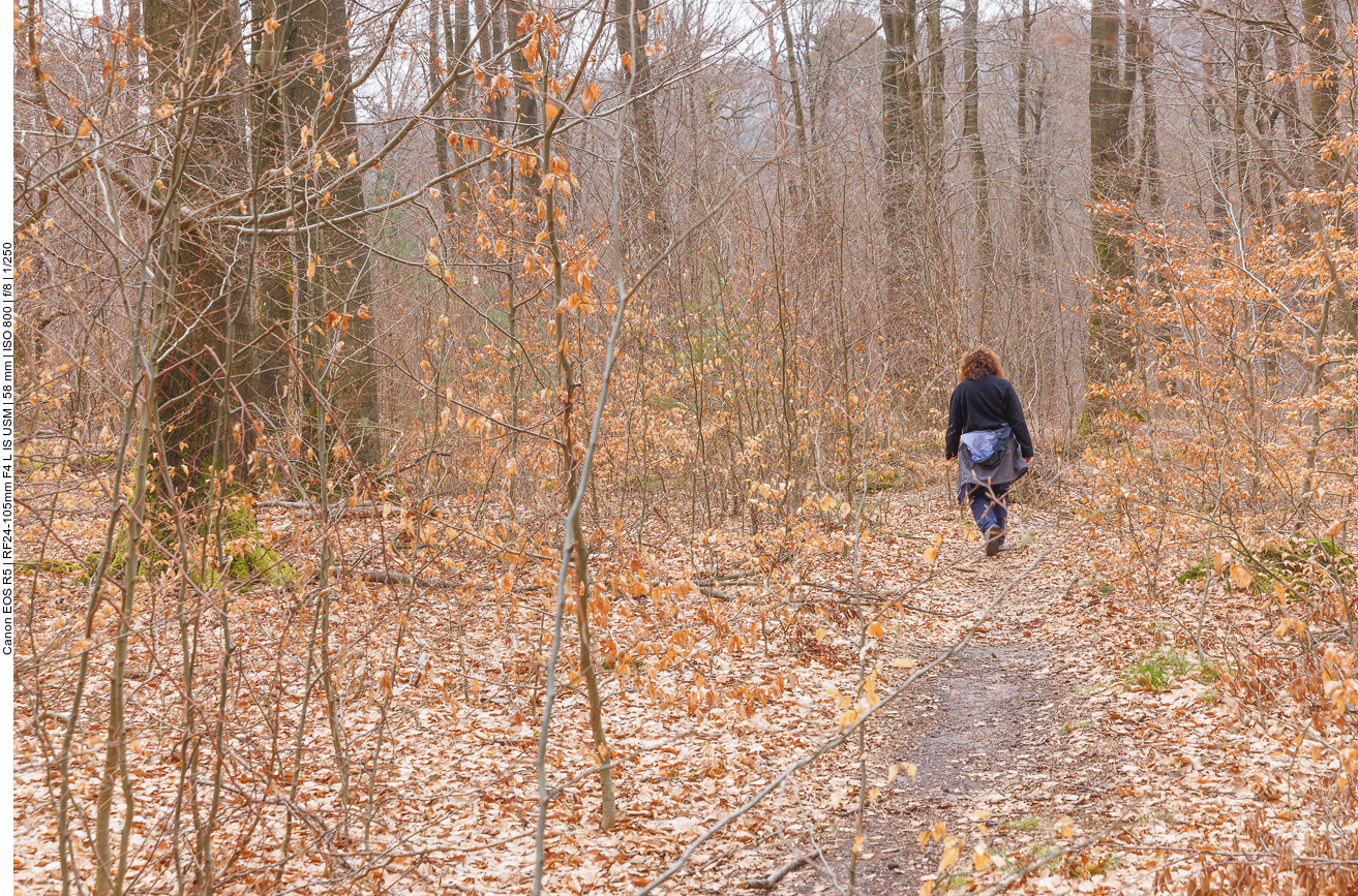 Nun geht es auf schmalen Pfaden weiter 