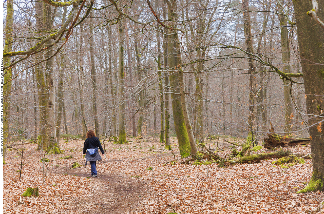 Der Weg schlängelt sich ... 