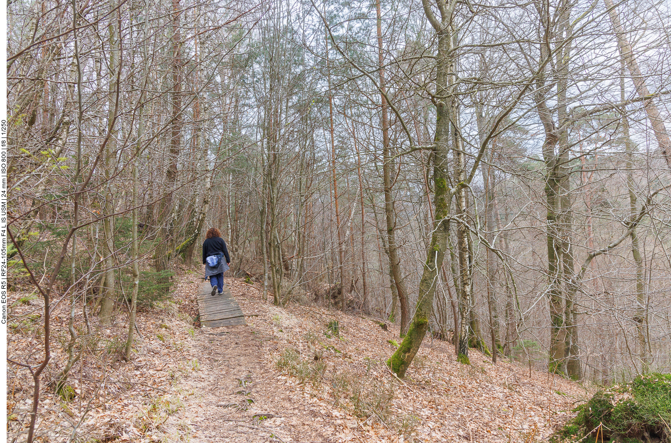 Wieder mal auf dem ... 