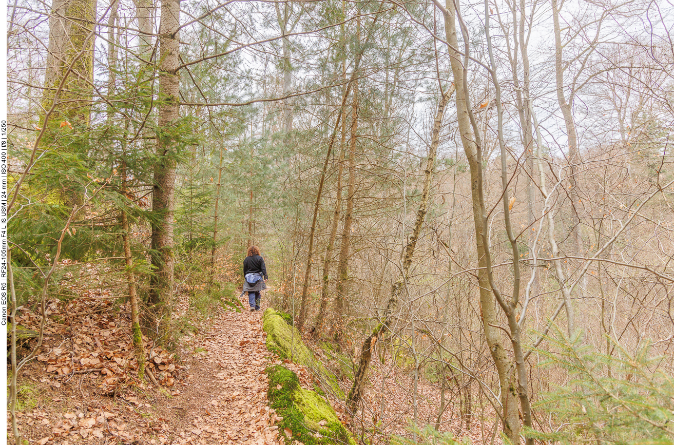 Nur nicht rechts hinunterfallen 