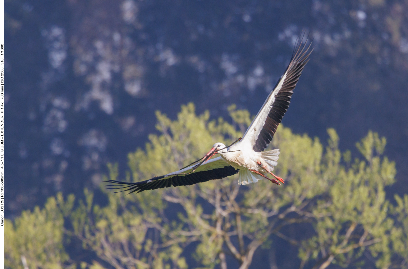 Weiteres Nistmaterial 