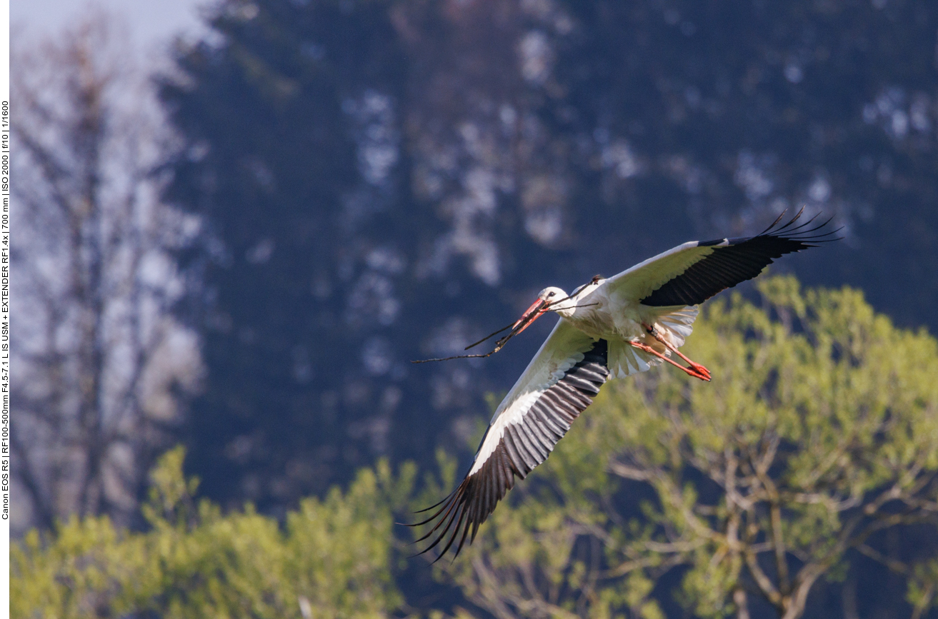 Weiteres Nistmaterial 