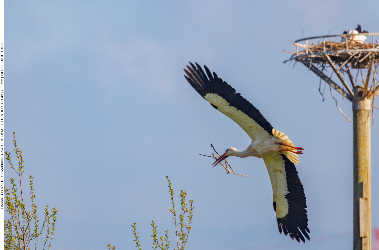 Rundflug um Nest #3 ...