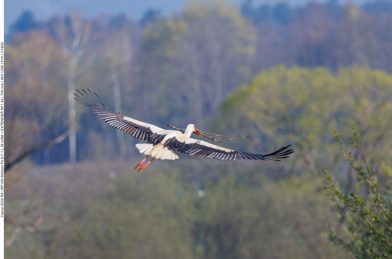 ... um Höhe zu gewinnen ... 