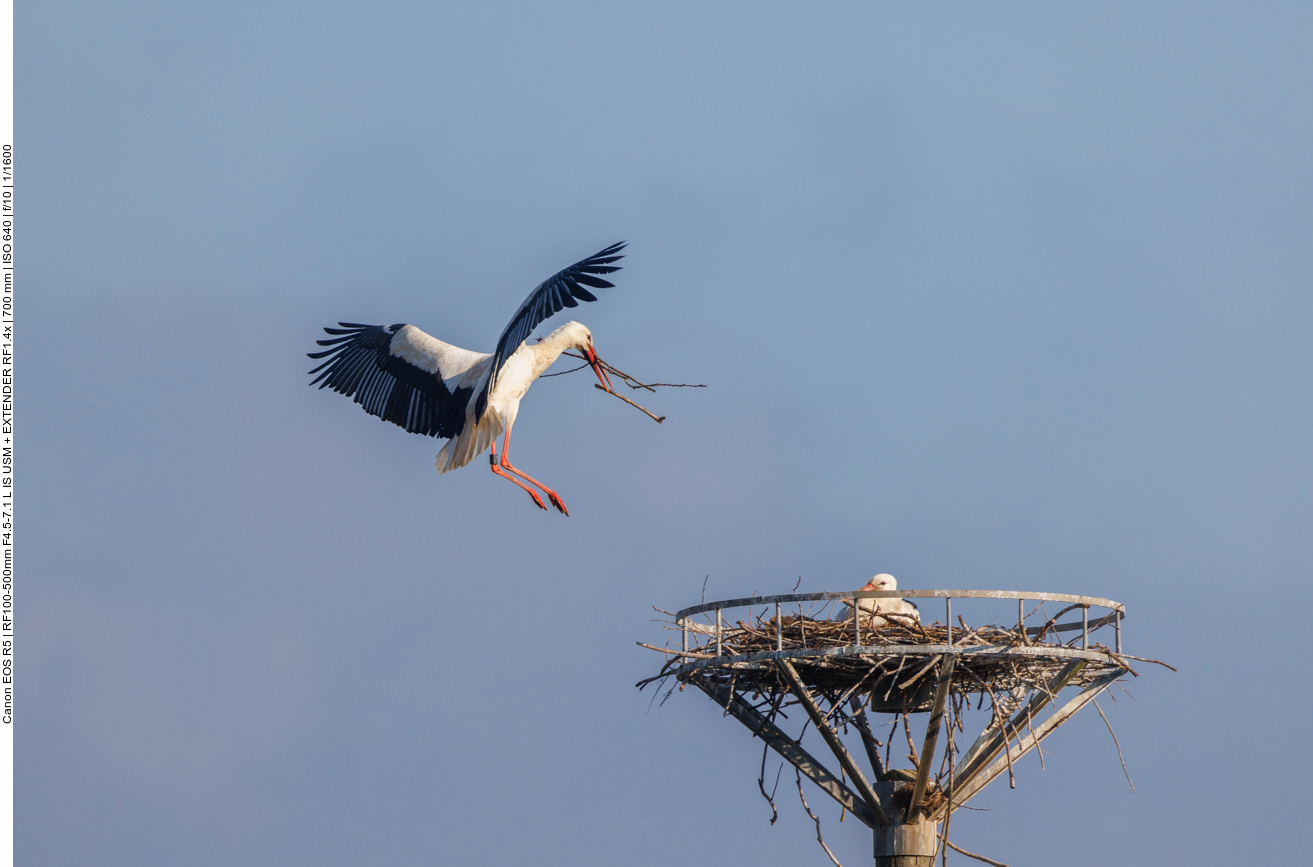 Das unterste Stöckchen wird doch nicht ... 
