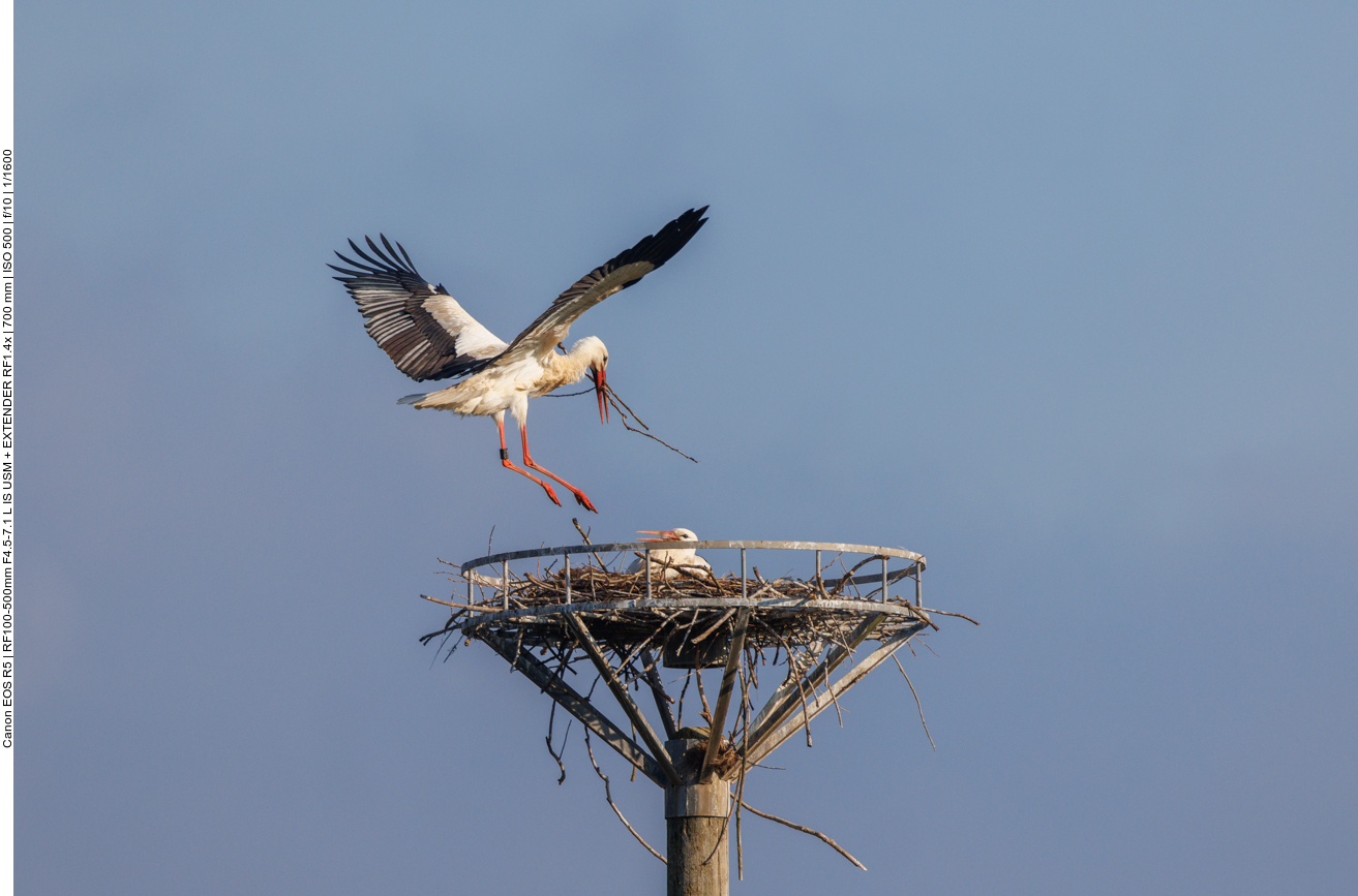 ... und die Partnerin freut sich, dass ... 