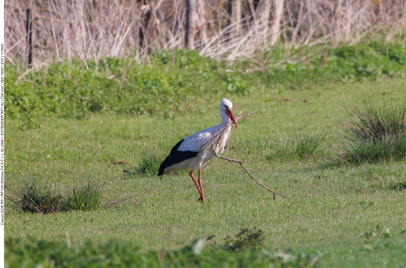 Dieses Stöckchen ist wohl etwas zu lang 