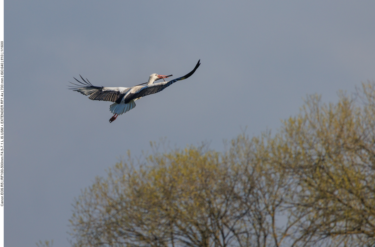 OK, dann starten wir mit etwas weniger Ballast 